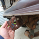 Image for article titled How I've Been Saving Money On My 1979 Jeep Cherokee Golden Eagle Project
